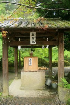 洛陽観音巡礼<第19番 今熊野観音寺>_a0045381_6433518.jpg