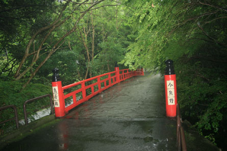 洛陽観音巡礼<第19番 今熊野観音寺>_a0045381_650247.jpg