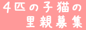 f0039288_1761361.gif