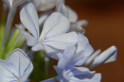 c0047589_66333.jpg