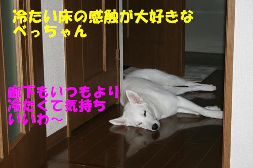 f0121712_16502524.jpg