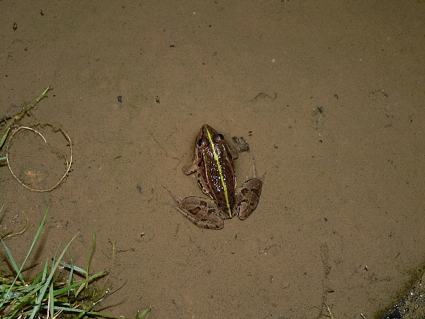 e0002314_1273137.jpg
