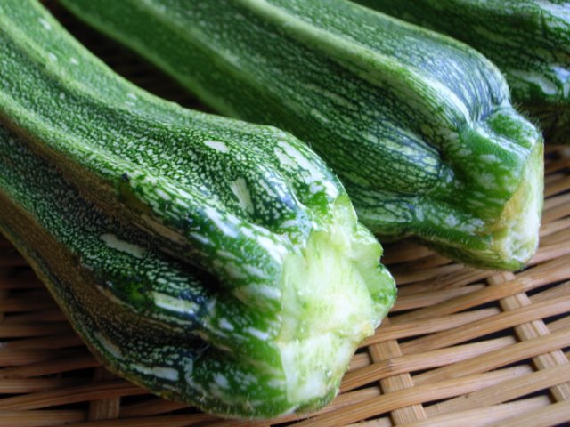 しましまズッキーニの種（Striato d'Italia） Striato d'Italia