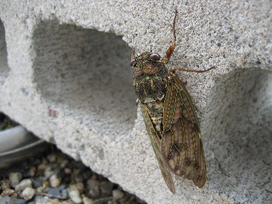 f0051638_2328174.jpg