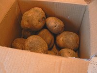 おいしい宅急便・奥多摩から_f0019247_1641526.jpg