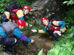 d0043161_9391763.jpg