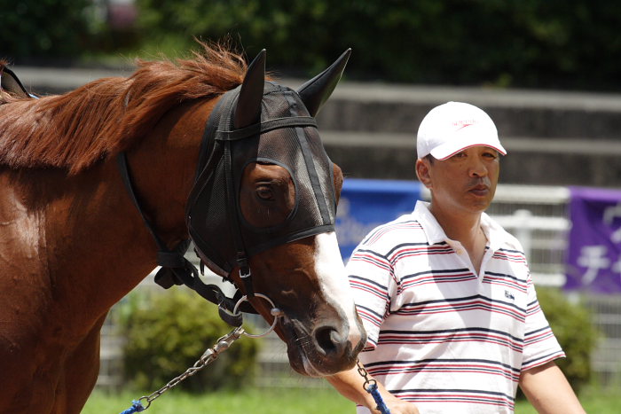 251カウトダウン4_a0077663_17214466.jpg