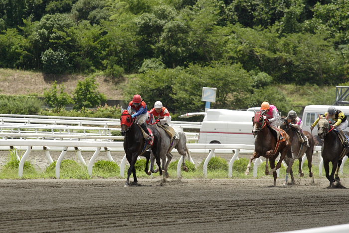 251カウトダウン4_a0077663_17222944.jpg