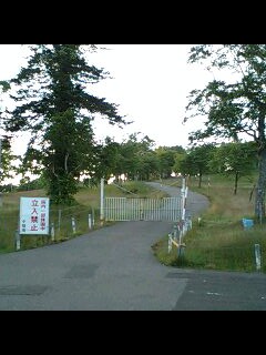 d0101276_22211823.jpg