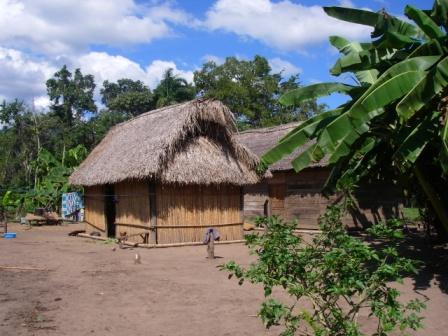 ボリビアのアマゾン bolivia ん ボリビアのアマゾン bolivia ん