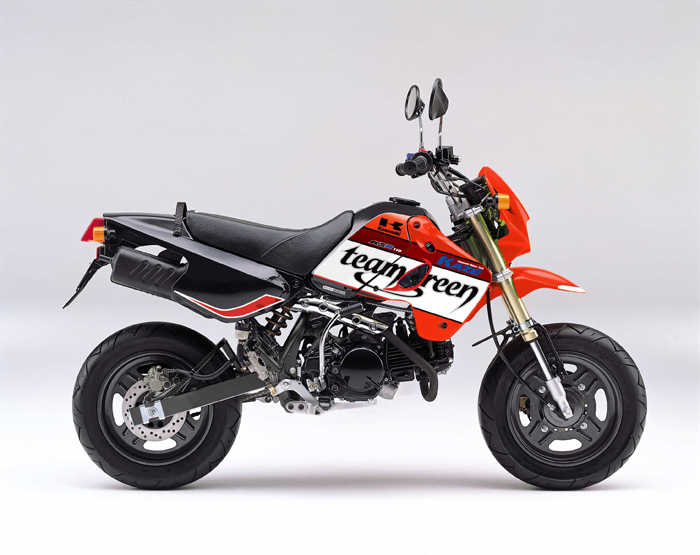 ksr110 実働車 現状わたし 通勤などウイリー初心者などに - カワサキ