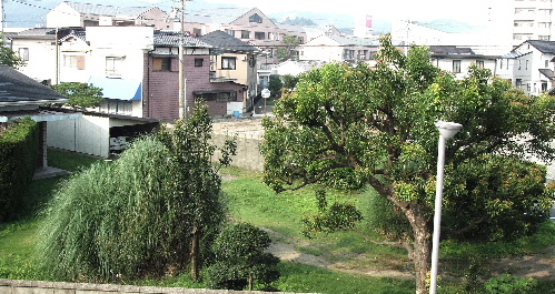 b0110492_2129375.jpg