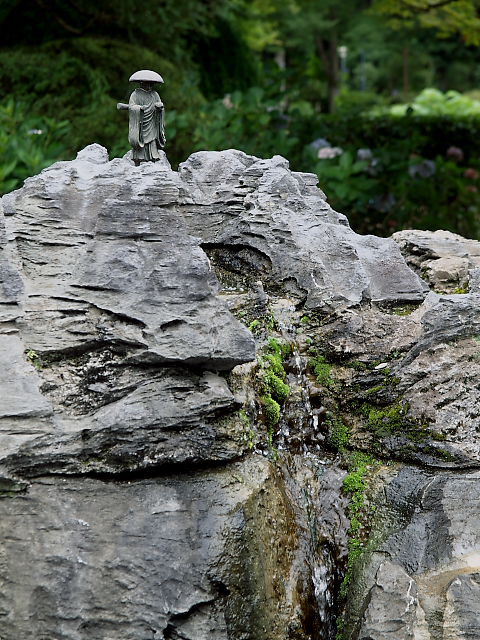 久安寺 その1：浮きアジサイ_d0087407_23541032.jpg