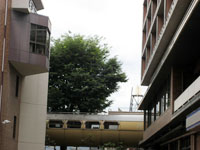c0114110_94637.jpg