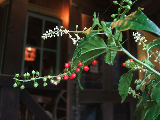 d0088611_0182559.jpg