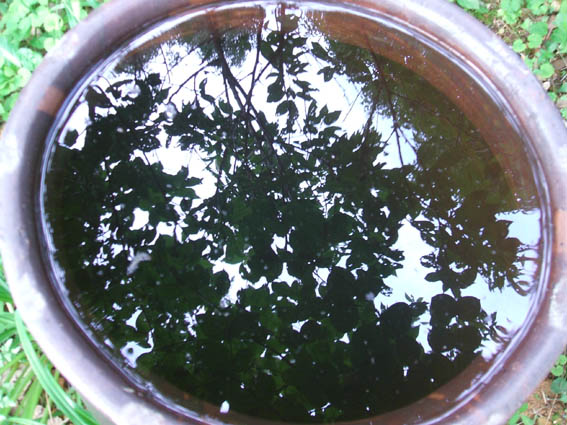 d0088611_0514455.jpg