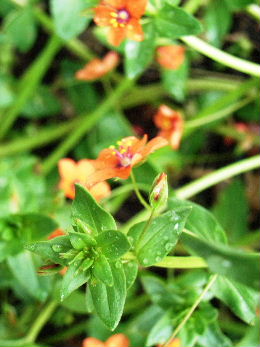 e0046112_21679.jpg