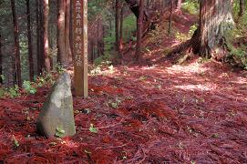 【#680】叫越･正座峰　峠で叫んできました　（2007.7.19）_a0096331_212042100.jpg