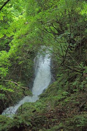 【#680】叫越･正座峰　峠で叫んできました　（2007.7.19）_a0096331_2225210.jpg