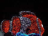 e0089238_14112647.jpg
