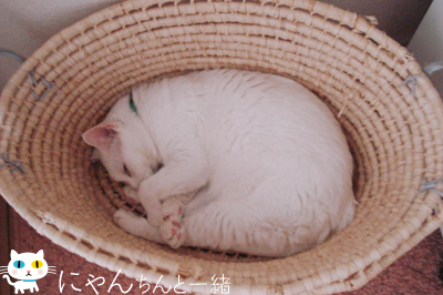 大事をとってます_e0031853_10122080.jpg