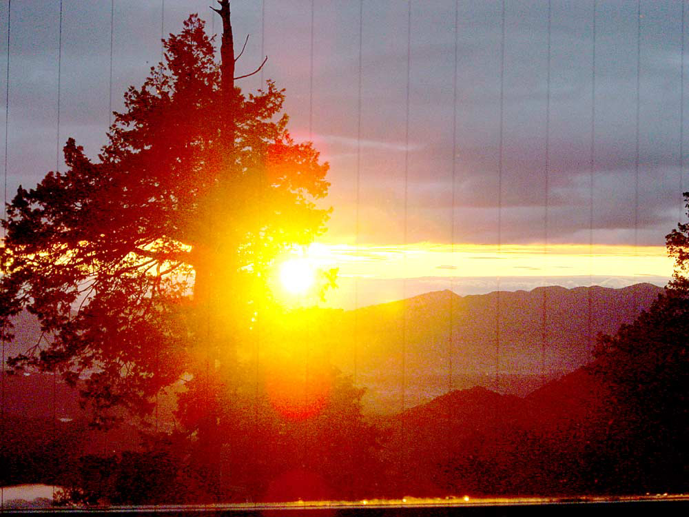 b0031558_05869.jpg