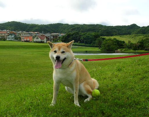 7月20日(金)・・・やっと晴れました!_f0060461_21252774.jpg