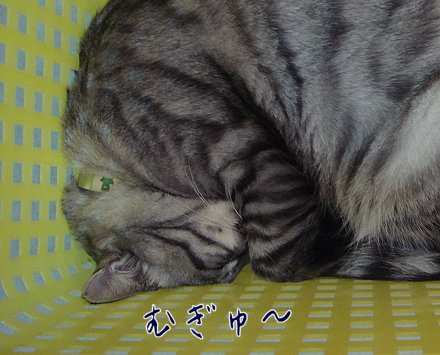 a0039366_0332425.jpg