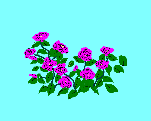c0108693_22514988.gif