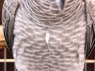 c0118496_2159723.jpg