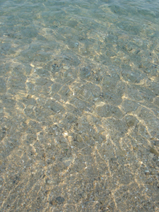 今年も「ユキちゃんと海」_f0106597_18231255.jpg