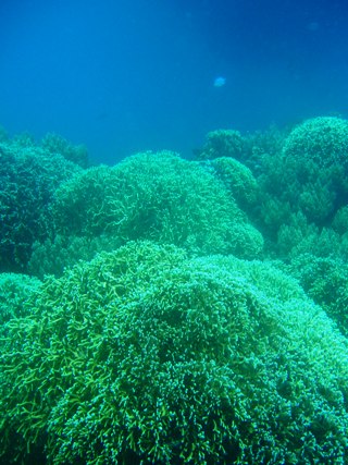 e0023100_230232.jpg