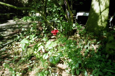 e0097008_1583466.jpg