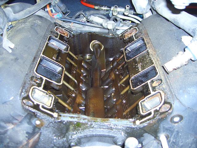 c0118011_22431096.jpg
