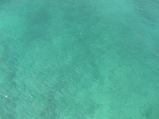 water u_f0115811_1152626.jpg