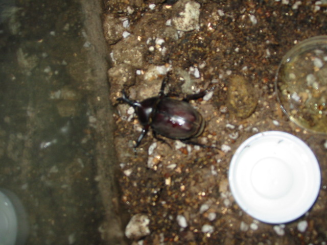 f0123712_23403070.jpg