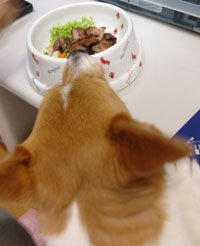 モモごはん 7月20日_d0102523_0172326.jpg