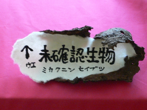 d0092026_2215598.jpg