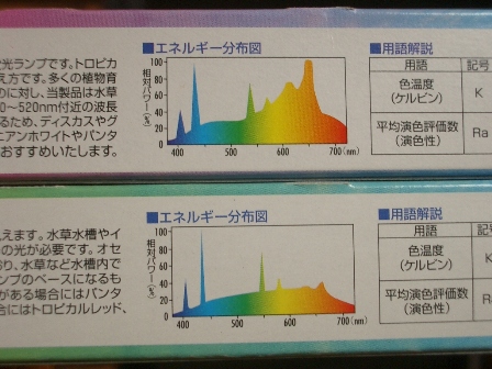 早期発芽、うむむむーあれこれ準備考え中。_c0025140_161544.jpg