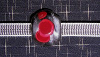 a0089450_20465550.jpg