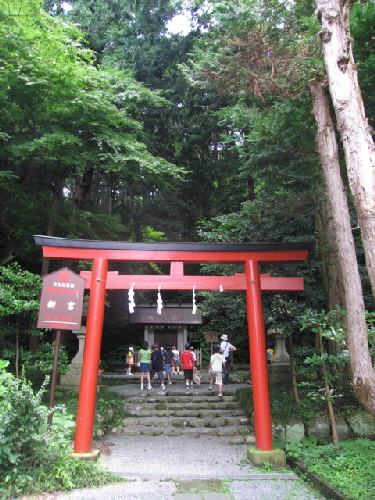 たんけんの様子_f0045052_13265329.jpg