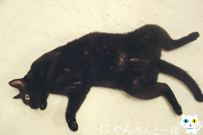 催促中_e0031853_1447281.jpg