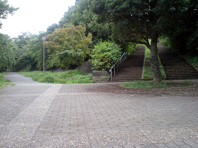 日吉公園_b0024261_21331573.jpg