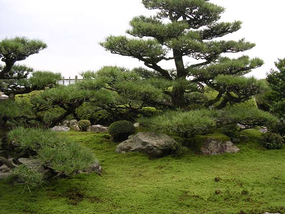 大津市　堅田紀行_c0049975_0133098.jpg