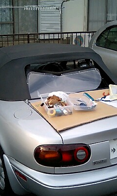車のリアスクリーン張替え_a0021476_22282784.jpg