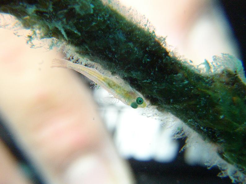 c0118393_12234728.jpg