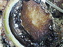 e0028505_521380.jpg