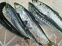 e0028505_5214374.jpg