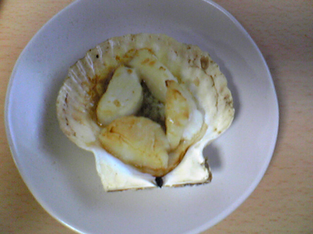 a0100206_1125781.jpg