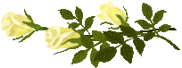 b0077906_16404436.gif